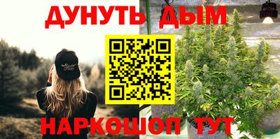 дмт Бийск