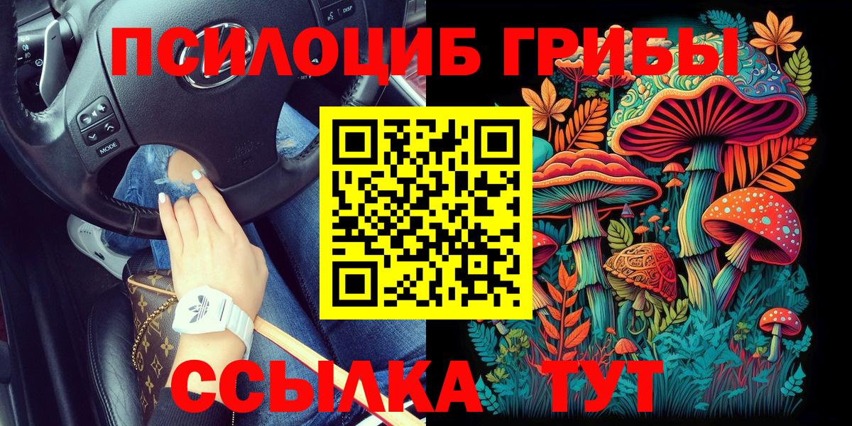Псилоцибиновые грибы Cubensis  Вход с VPN  Йошкар-Ола 